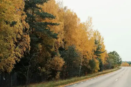 Il grande rinnovamento dell'autostrada D6 nei dintorni di Kladno si è concluso con ritardo.